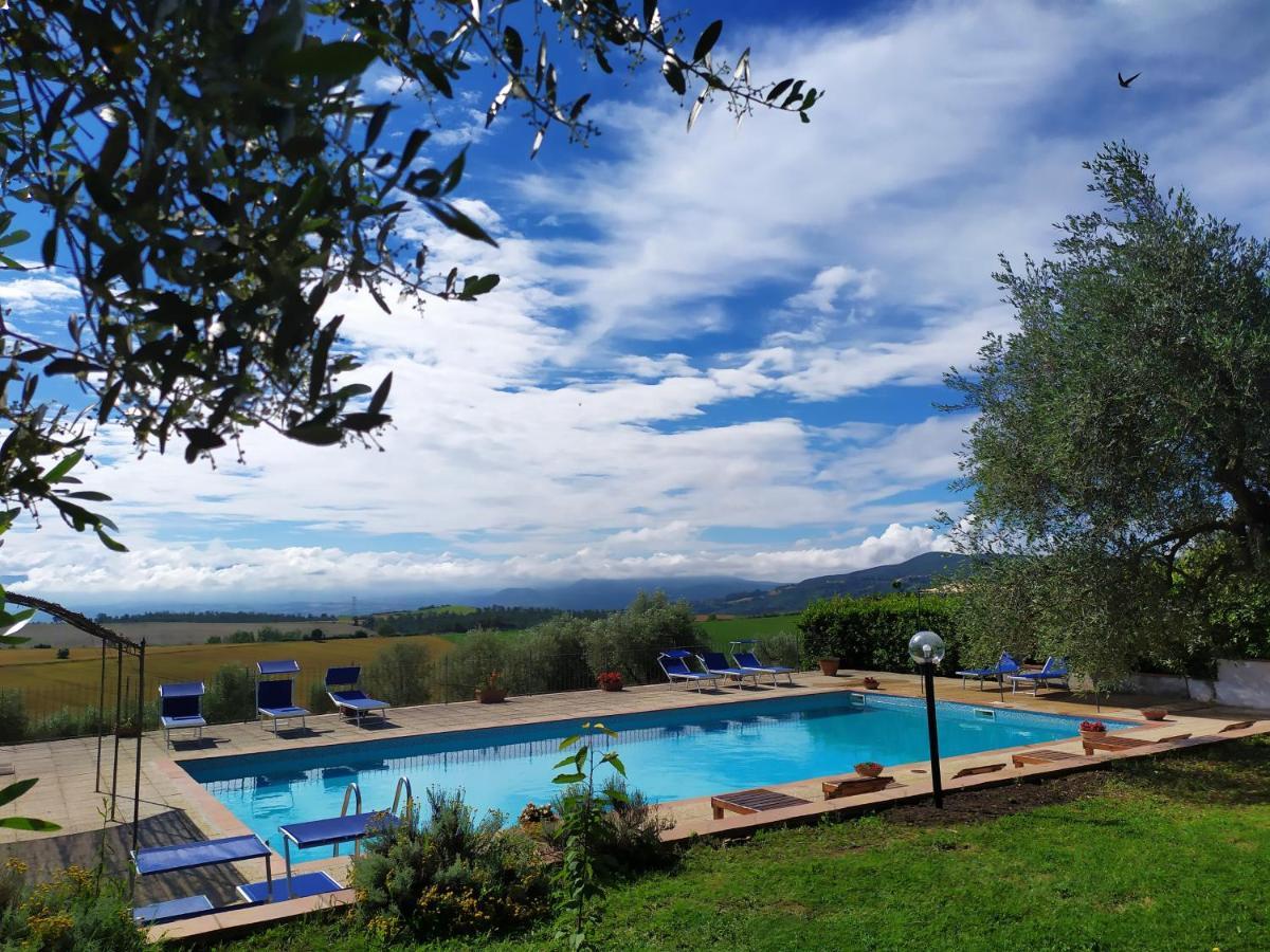 Marco & Andrea Agriturismo Amelia Exterior photo